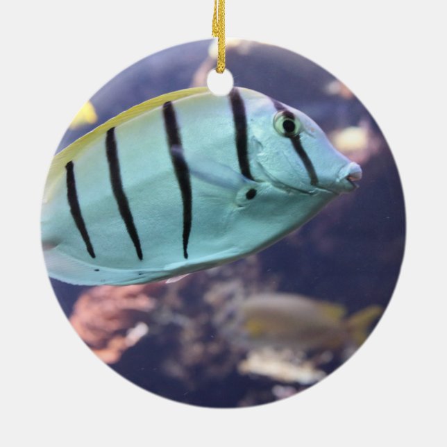 Convict Tang Gitter-Doktorfisch Julgransprydnad Keramik (Baksidan)