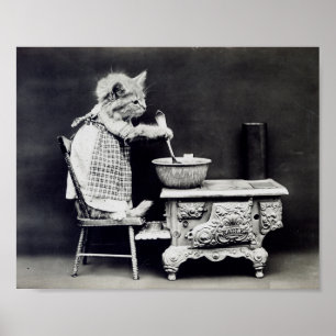 Cook Cat Funny Harry Whittier Frees 1914 Poster
