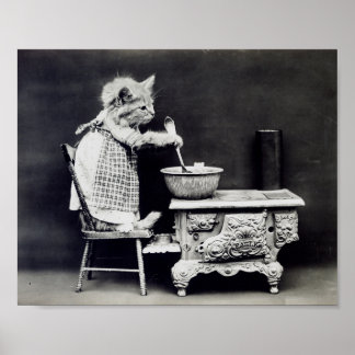 Cook Cat Funny Harry Whittier Frees 1914 Poster