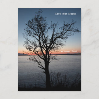 Cook Inlet med Denali och Mt. Foraker - Alaska Vykort