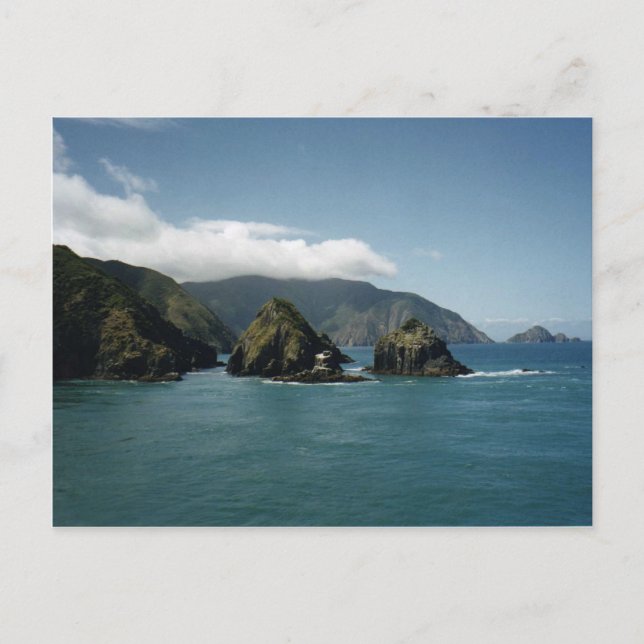 Cook Strait Vykort (Framsida)