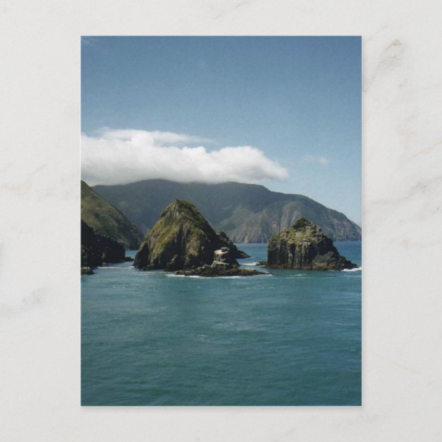 Cook Strait Vykort (Framsida)