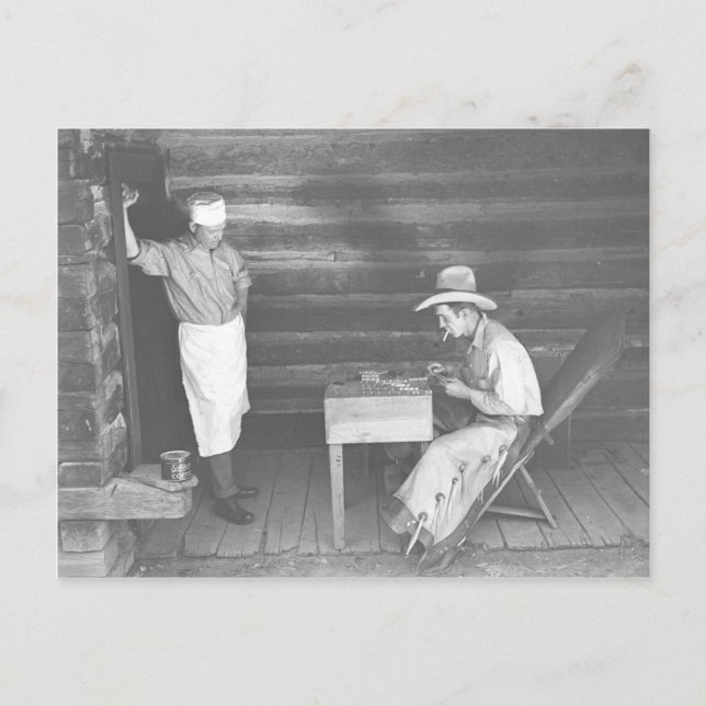 Cook tittar på cowboykort 2 vykort (Framsida)