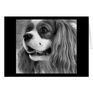 Cookie Hälsningskort