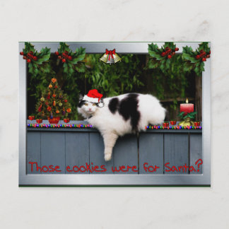 Cookie Loving Cat Vykort