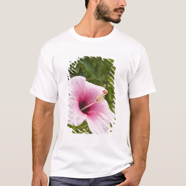 Cooköarna, Atiu. Hibiscus-blomman. T-shirt (Framsida)