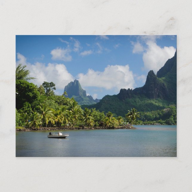 Cooks Bay, Moorea-vykort Vykort (Framsida)