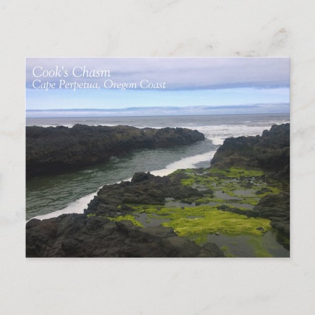 Cook's Chasm, Cape Perpetua, ELLER Vykort (Framsida)