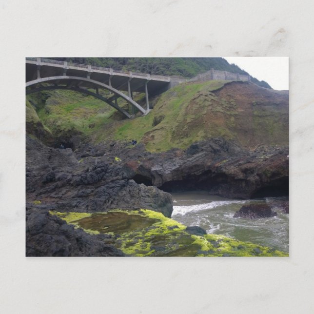 Cooks Chasm, Cape Perpetua, Oregon Vykort (Framsida)