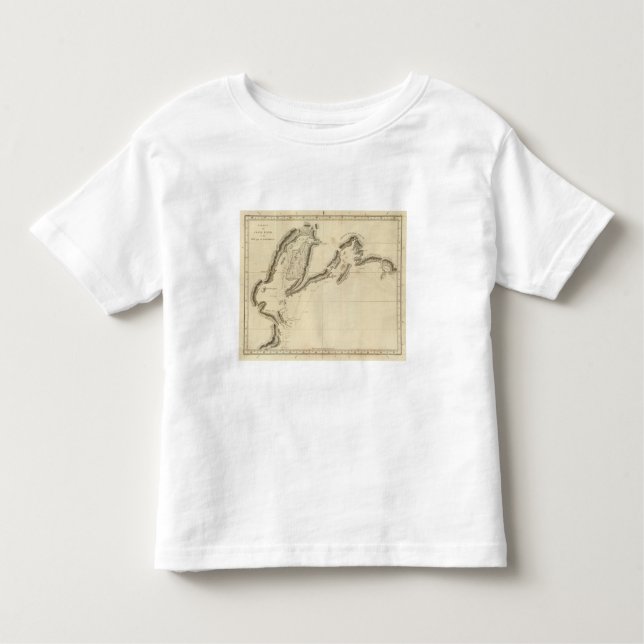Cooks River, Alaska T Shirt (Framsida)