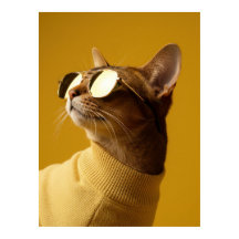 Cool Abyssinian Cat with Sunglasses and Turtleneck