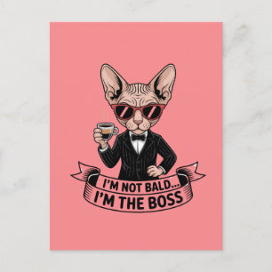Cool Boss Sphynx Katt Kaffe Konst Vykort