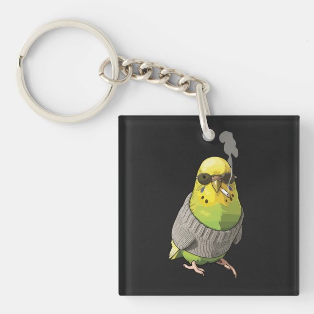 Cool Budgie in Grey Sweater and Sunglasses Illustr (Framsidan)