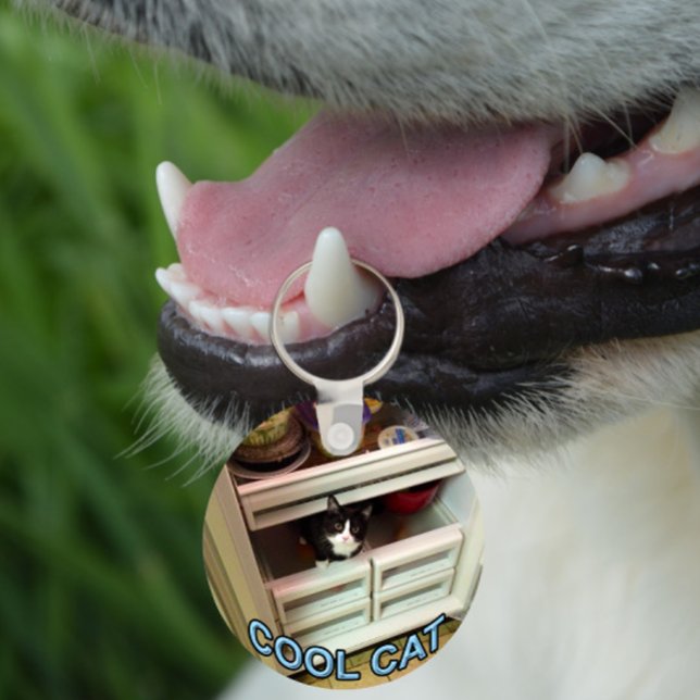 Cool Cat keychain Nyckelring (Skapare uppladdad)