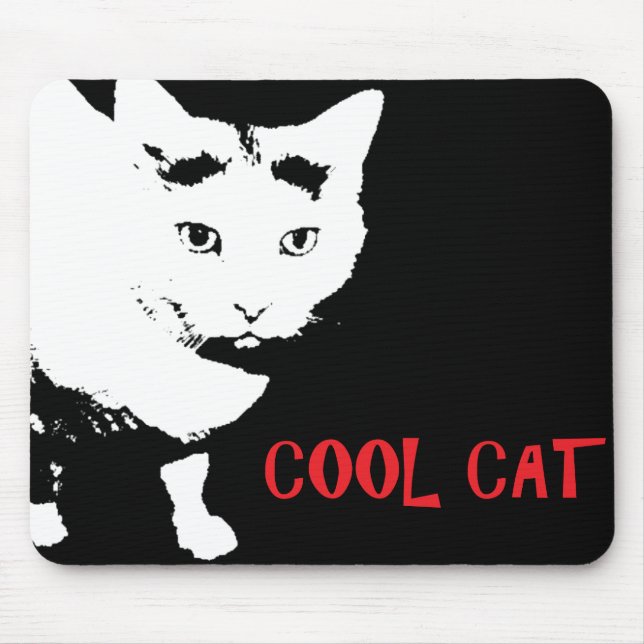 COOL CAT MUSMATTOR (Framsidan)
