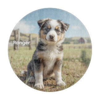 Cool Cattle Dog Personlig Glas