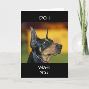 **COOL DOBERMANN** säger GLAD "40-årsdag" Kort