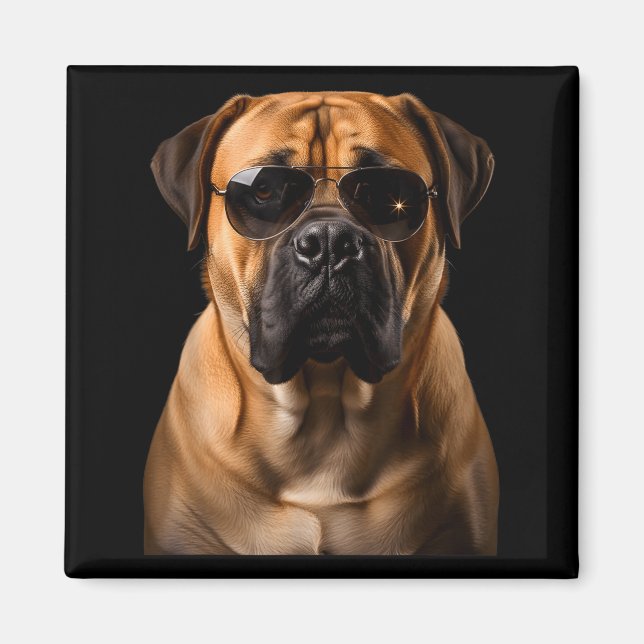 Cool Dog Sungles Bullmastiff Funny Look  Magnet (Framsidan)