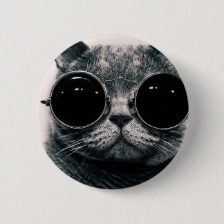 cool katt kool kat med solglasögon knapp
