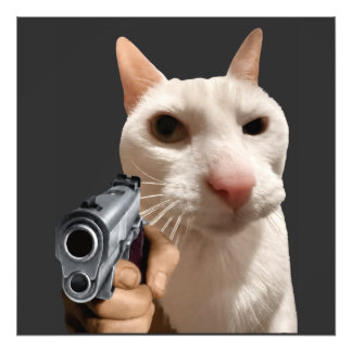 Cool katt med pistol rolig meme fototryck