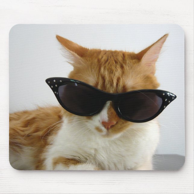 Cool katt med solglasögon Musmatt Musmatta (Framsidan)