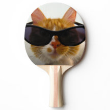 Cool katt med solglasögon ping pong paddel