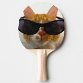 Cool katt med solglasögon ping pong paddel pingisracket