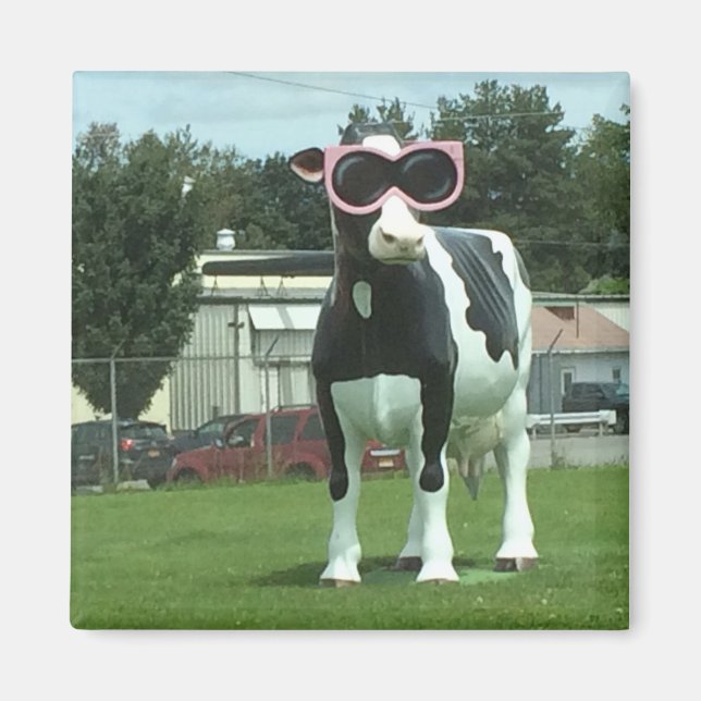 cool ko 1 magnet (Framsidan)