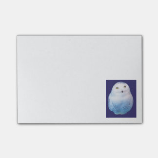 Cool Post-it Snowy Owl Block