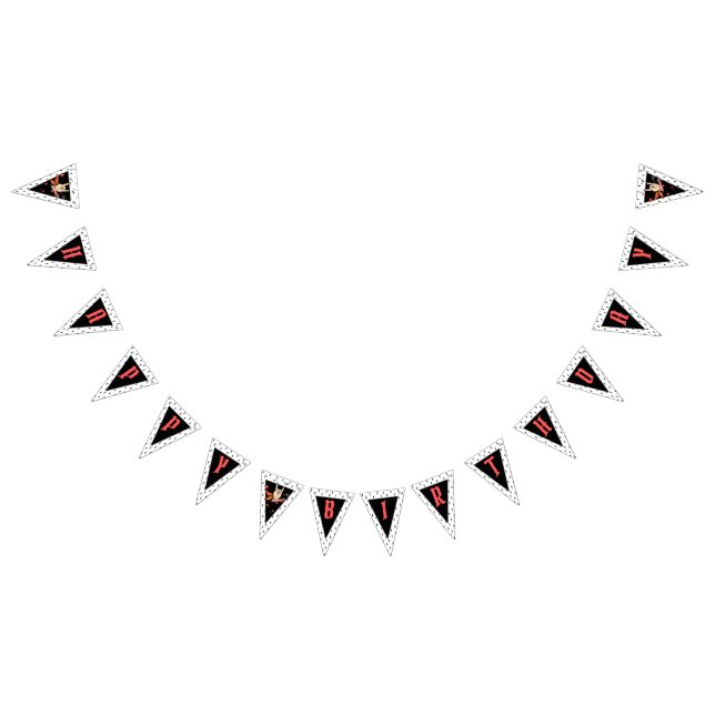 Cool Punk Rockstar Birthday Bunting Flags Vimplar (Alla)