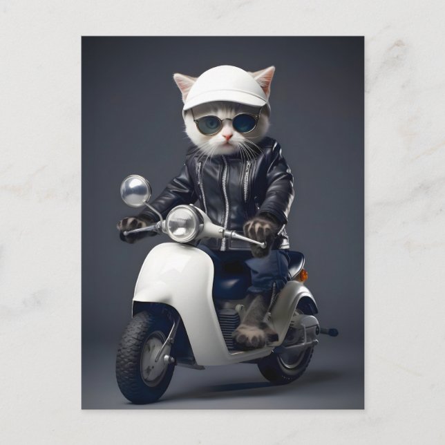 Cool Scooter Kitty Grattis Vykort (Framsida)