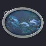 Coola Aquarium Fish Mörk Vatten<br><div class="desc">Coola mörk aquarium.</div>