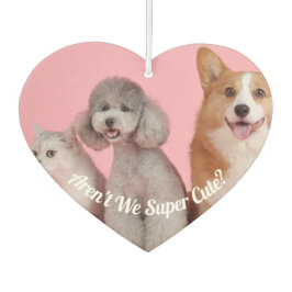 Coola är inte Toppen Cute? Pet Photo Luft Freshene