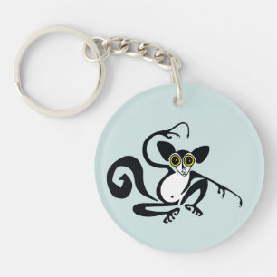 Coola AYE-AYE-primat-lemur-Madagaskar -