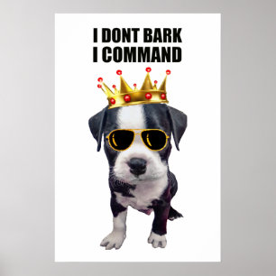 Coola baby hund med rolig fras överst poster