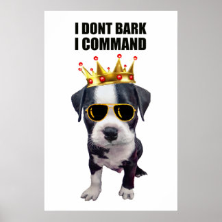 Coola baby hund med rolig fras överst poster