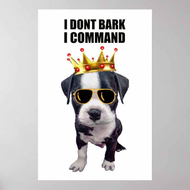 Coola baby hund med rolig fras överst poster (Framsidan)