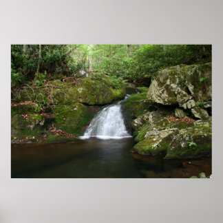 Coola Bassäng Poster