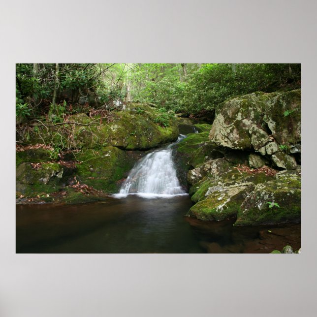 Coola Bassäng Poster (Framsidan)