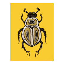 Coola Beetle Decorative Entomology Art