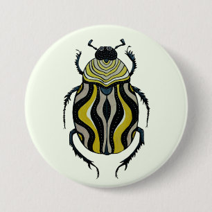 Coola Beetle Entomology Insekt Art Knapp