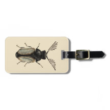 Coola Beetle insekt älskare entomologikonst