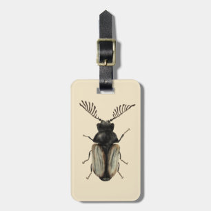 Coola Beetle insekt älskare entomologikonst Bagagebricka