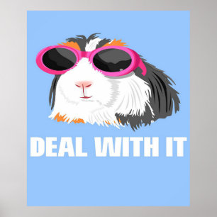 Coola Behandla Guinea Gris Älskare Gift Poster