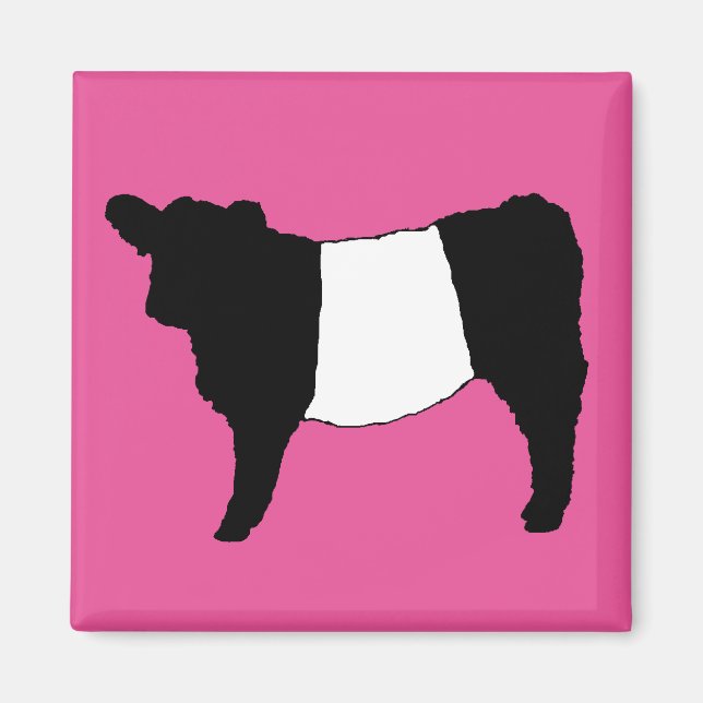 Coola Belad Galloway Cattle Sällsynt Cow Beltie St Magnet (Framsidan)