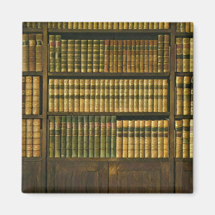 Coola bibliotekarie magnet