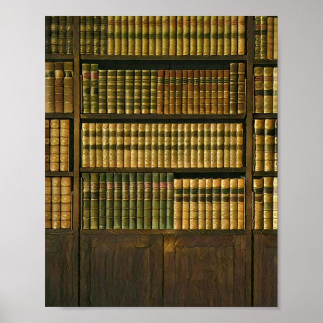 Coola bibliotekarie poster (Framsidan)