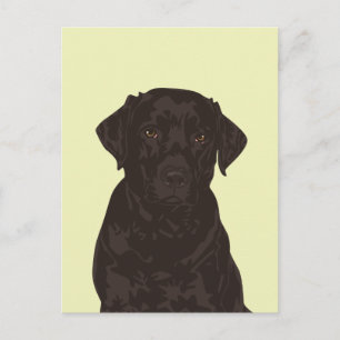 Coola Black Labrador Retriever Hund Postcard Vykort