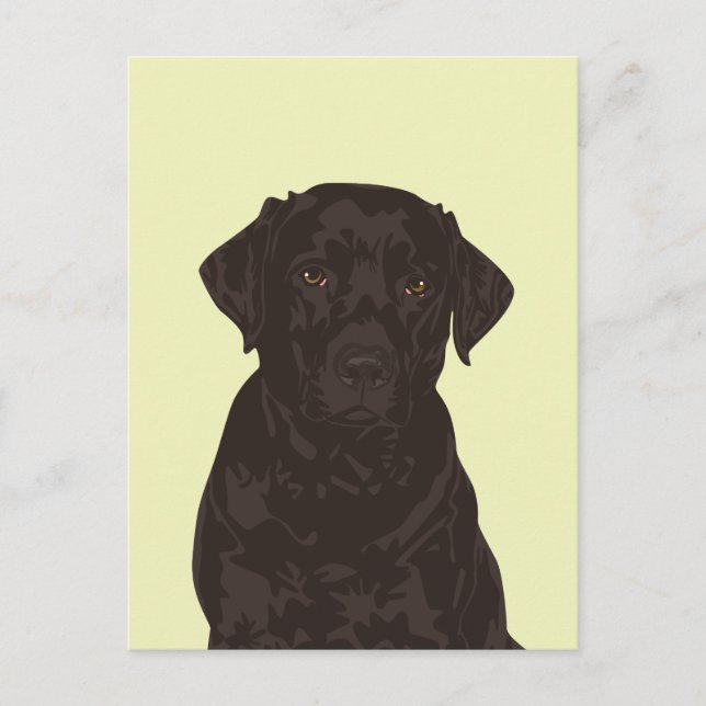 Coola Black Labrador Retriever Hund Postcard Vykort (Framsida)