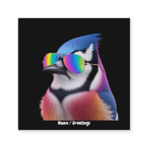 Coola Blue Jay Bird Wearing Sunglasses Retro
